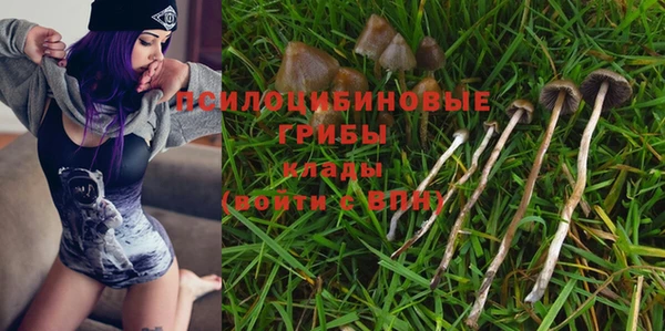 скорость Лиски