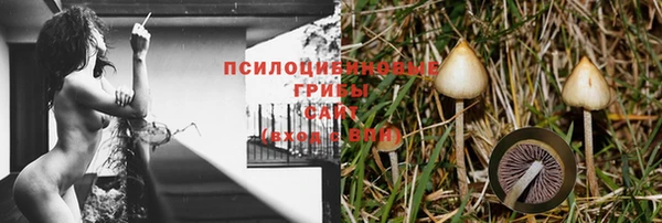 прущая мука Ладушкин