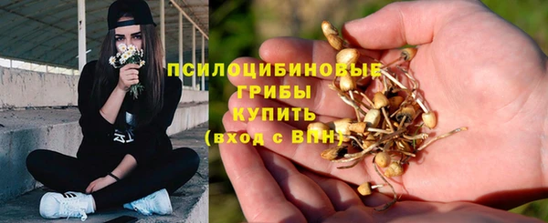 скорость Лиски