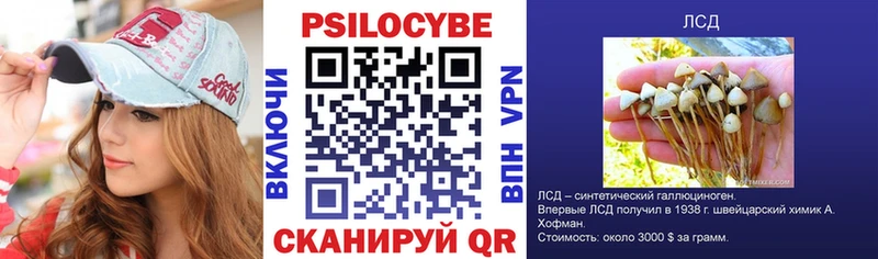 Галлюциногенные грибы MAGIC MUSHROOMS  наркота  Реутов 